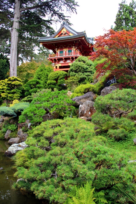 ���-���������